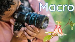 Macro Photography in Budget  Macro Extension Tubes  with Examples Canon 1300D [upl. by Adnir]