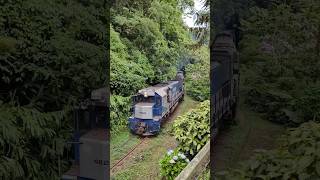 Trem de passageiros Litorina saindo do Túnel passeio Curitiba Morretes trem train morretes [upl. by Enaj]