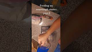 Feeding my sourdough starter part 2 sourdough fromscratch ryeflour howto [upl. by Rehpotisrhc]