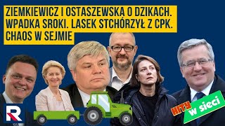 Hity w sieci  Ziemkiewicz i Ostaszewska o dzikachOdlot KidawyLasek stchórzył z CPK Chaos w Sejmie [upl. by Trocki428]