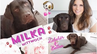 ♡ Milka Mittwoch ♡ Hunde Zubehör  Haustier Tag  brauner Labrador  Welpe Bett Körbchen furminator [upl. by Cartwright]