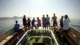 San Carlos Scuba Diving with Phoenix Scuba [upl. by Otsuaf]