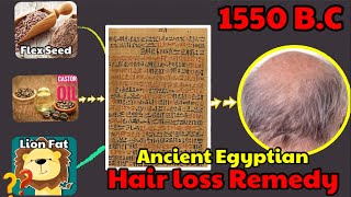 Craziest Way to Treat Hair Loss in Ancient Egypt  Egyptian Papyrus  Ebers Papyrus  Oldest Remedy [upl. by Trilby114]