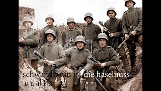 schwarzbraun ist die haselnuss  แปลไทย [upl. by Ynetsed]