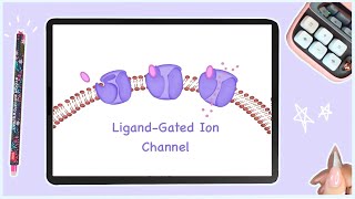 Ligand Gated Ion Channels  Cell Signaling [upl. by Notsnorb]