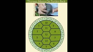 Turtle Shell Calendar has 13 Months or Moons [upl. by Nospmis]