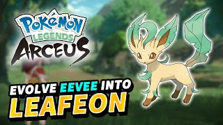 How to evolve EEVEE into LEAFEON Mossy rock Location  Pokemon Legends Arceus [upl. by Vershen398]