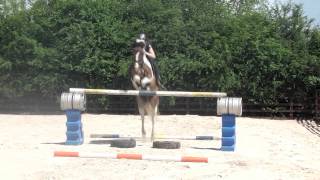 Jumping 1m30 no stirrups [upl. by Airahs]