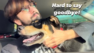 Saying Goodbye To My Dog [upl. by Ahsed]