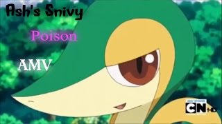 Ashs Snivy AMV Poison [upl. by Karyn16]