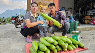 Harvesting Gourd Garden Goes to the market sell  Cooking  Hà Tòn Chài [upl. by Sucramrej]