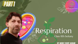 RESPIRATION  CLASS 11TH  EXPLAINED  MOHD YOUSF GANAIE BOTANY TEACHER  PART 1 [upl. by Theadora]