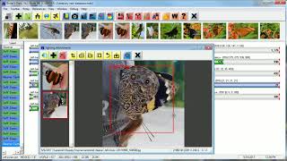 Birders Diary V5 New Features [upl. by Ecirum318]