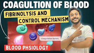 Coagulation Blood Physiology  Blood Physiology  Coagulation Cascade Animation  Physiology [upl. by Joanie6]