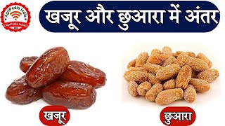 खजूर और छुआरा इनके बीच अंतर जानें  Discover the Difference Between Dates and Raisins [upl. by Adnilg]