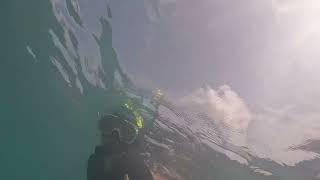 Snorkeling at Anilao Mabini Batangas [upl. by Utham]