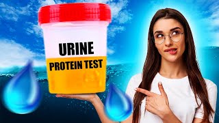 Why Is There Protein In My Urine [upl. by Enitsuj581]