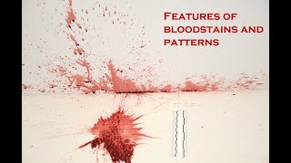 Bloodstain pattern analysis  features of bloodstains and patterns [upl. by Boswall51]