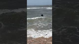 Mahadev Shivling in middle of the SEA gujrat somnath [upl. by Holly863]