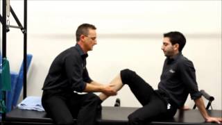 Calf strain advice by my Physio SA for trainers Adelaide Physiotherapist [upl. by Adnoel]