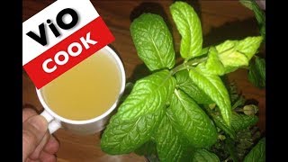 How To Make Mint Tea From Fresh Mint Leaves [upl. by Dub]