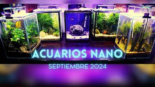 Review Acuarios Nano Septiembre 2024 [upl. by Ahsie977]