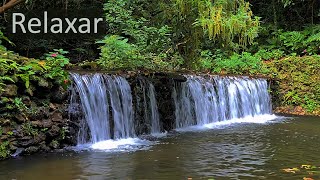 Meditação  Mente Calma e Zen 🍃 Música para Meditar com Sons da Natureza – Relaxar [upl. by Aivin]