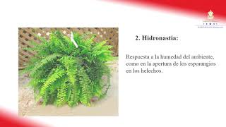 Tropismos y nastias – Octavo Grado – Ciencias Naturales [upl. by Nalor]