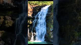 Waimea Falls travel hawaii aloha waterfall nature beautiful fyp [upl. by Umberto]