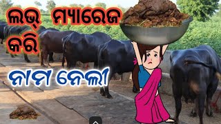 Love marriage Kari Nama Neli odia catoon videoodiacomedicartoon odia comedy [upl. by Basile814]