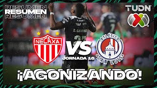 HIGHLIGHTS  Necaxa vs Atlético San Luis  Liga Mx AP2024  J16  TUDN [upl. by Atiuqcir]