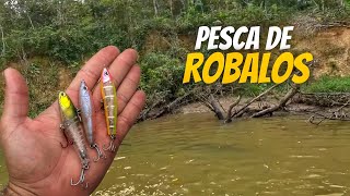 Pesca de ROBALOS nas GALHADAS  SÓ ISCA ARTIFICIAL [upl. by Colpin]