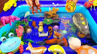 Put fish in the float sharks dolphins sea creatures tiger fish [upl. by Annatnas]