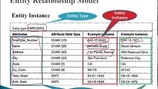 Entity Relationship Model 01 Entity [upl. by Winshell]