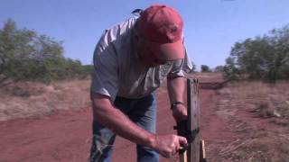 Quail Posts  Quail and Game Cams  Texas Wildlife Association [upl. by Niwre]