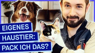 Tierheime voll Wie kann ich Hund oder Katze verantwortungsvoll halten [upl. by Sallyann757]