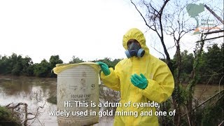 Deadly cyanide linked to gold mining in Cambodia [upl. by Rol690]