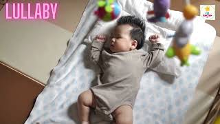 🌙 Gentle Music Mozart for Baby Sleep  Sleep Music for Babies 🎵 [upl. by Lehte457]