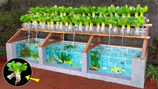 Super easy to DIY aquarium combined with growing organic vegetables [upl. by Elram]