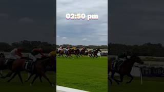 Horse racing in perth racecourse horseracing perth Australia [upl. by Atik758]