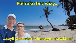 127 Półroczne bezwizowe ferie nie tylko zimowe w Tajlandii [upl. by Emmer216]