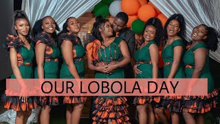 Lobola day vlog 🐄🐮💰💵 [upl. by Hcirteid346]