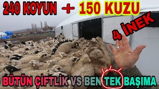 KARDEŞİMİN AYAK PARMAKLARI KIRILDI TEK BAŞIMA BÜTÜN ÇİFTLİKLE BAŞ ETMEK [upl. by Esetal257]