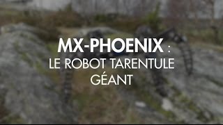 Une tarentule robot géante pour des missions de sauvetage [upl. by Lorilee]