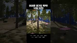 DNW 어려운 경기도 뚝딱 12킬 치킨 다나와 이스포츠 [upl. by Ezaria625]