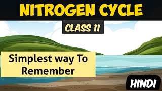 Nitrogen Cycle  Mineral Nutrition  Class 11  By Be Educated [upl. by Winterbottom]