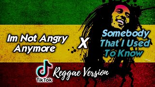 Im Not Angry Anymore x Somebody That I Used To Know Reggae Version [upl. by Anerdna]