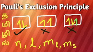 Paulis Exclusion Principle  A Complete Explanation தமிழில் [upl. by Eltsirk]