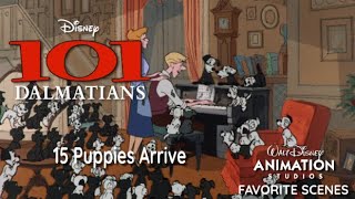 101 Dalmatians 1961  15 Puppies Arrive [upl. by Namref]