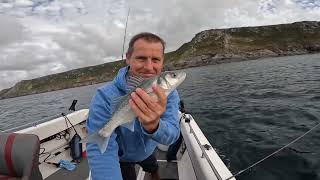 Basstastic day on the Warrior UK boat fishing [upl. by Corron]